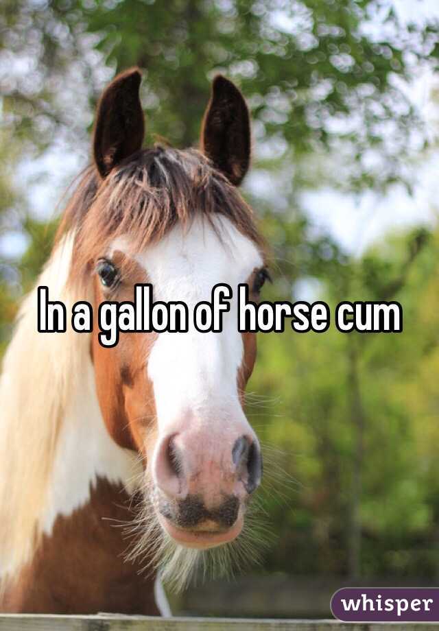 Gallons Of Horse Cum
